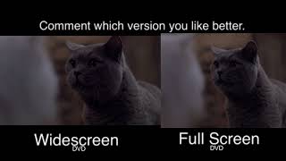 Stuart Little 2 Widescreen vs Full Screen [upl. by Collette]