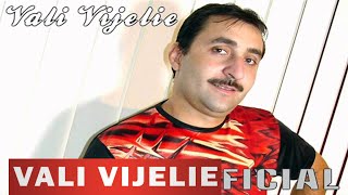 VALI VIJELIE  Te iubesc te iubesc OFICIAL AUDIO TRACK [upl. by Fen182]