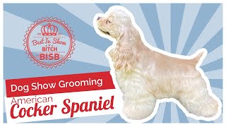 Dog Show Grooming How to Groom an American Cocker Spaniel [upl. by Dunaville28]