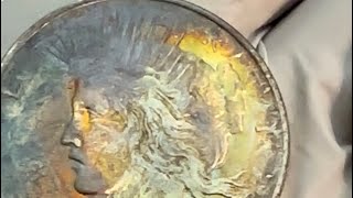 Colorfully and Naturally Toned Peace Dollars 1888S 1878CC BU Raw Morgan’s from live auction [upl. by Yrruc109]