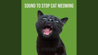 Sound to Stop Cat Meowing [upl. by Melburn136]