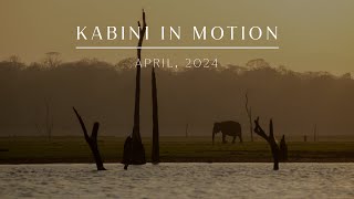 Kabini in Motion  April 2024  Evolve Back Kuruba Safari Lodge [upl. by Soelch432]