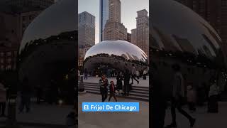 Cloud Gate chicago tour travel [upl. by Annabal419]