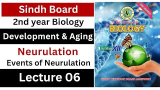 events of neurulation  development and aging  class 12 biology Sindh board New [upl. by Nnylirej519]