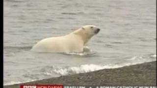 Cold Rush 1 of 2  Arctic Meltdown  BBC Our World Environmental Documentary [upl. by Ogait]