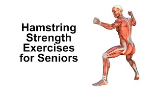 Hamstring Strength Exercises for Seniors Part 2 [upl. by Yrrap]