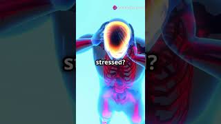 Neurotransmitters effect mood nervoussystem knowyourbody fitnessmotivation facts bodysystem [upl. by Lepley283]