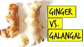 What is the Difference Between Ginger and Galangal [upl. by Hugon]