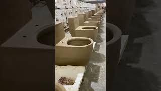 Factory daily new toilet siphonic design producing line toilet sanitarywares [upl. by Aletta]