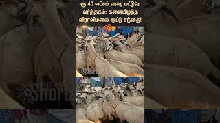 Viralimalai Goat Market  goat sale  Pudukottai  Sunnews [upl. by Bagger]