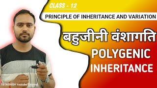 Polygenic Inheritance  Principles of Inheritance and Variation  Class 12 202425 [upl. by Ybbob108]