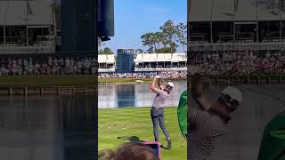 PGA Tour Swings From 17th At TPC Sawgrass [upl. by Rezeile]