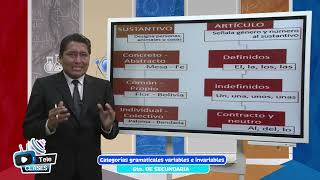 Categorías gramaticales variables e invariables [upl. by Amble]