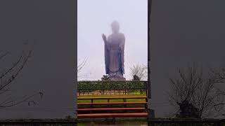 Ushiku daibutsu in Japan music travel japan buddha fyp follow [upl. by Yllib]