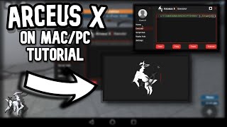 How to get Arceus X on MacPC FOR FREE  Roblox Tutorial [upl. by Leakim187]