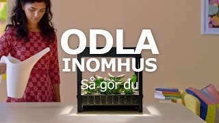 ODLA INOMHUS – Så gör du [upl. by Julita]