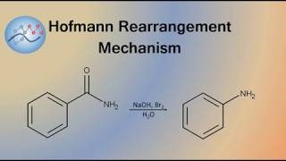 Hofmann Rearrangement Example Mechanism  Organic Chemistry [upl. by Asert]