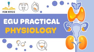 Physiology practical Urinary System [upl. by Aietal]