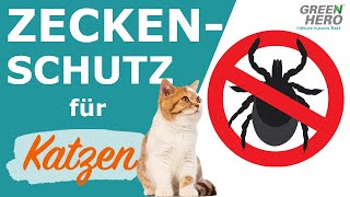 Zeckenschutz für Katzen 🕷 🐈 Zecke leicht entfernen [upl. by Fezoj]