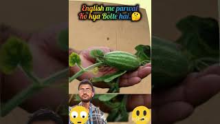 Parwal ko English me kya kehte hain music travel Vegetables nametripathi studies world 🌍 [upl. by Pinette]