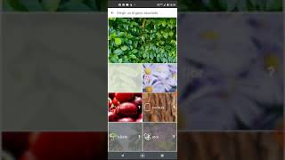 La MEJOR APP para identificar PLANTAS 🌱🌹short videoshort jardinería [upl. by Repooc]