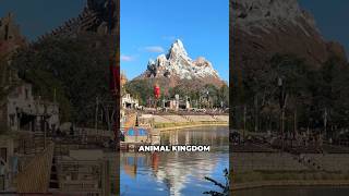 My FIRST time at Animal Kingdom in 10 years 🦁🎢 [upl. by Frame]