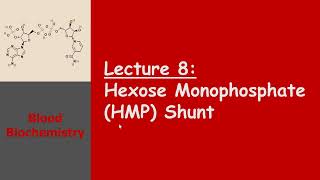 Blood Biochemistry  Hexose Monophosphate HMP Shunt [upl. by Aerdnaid988]