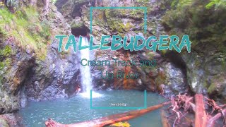 Tallebudgera Valley Cream Track and waterfall [upl. by Peter]