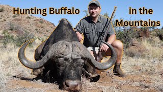 Hunting Buffalo in the Mountains [upl. by Stargell]