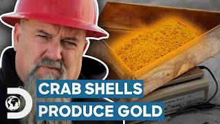 Crab Shells Help Hoffmans Find Big Gold Haul  Hoffman Family Gold [upl. by Derman]