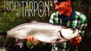 TARPON FISHING  Kurzclip Angeln auf Tarpon  Topwater [upl. by Pelletier85]