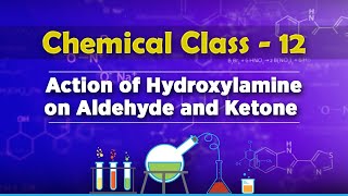 Action of Hydroxylamine on Aldehyde and Ketone  Aldehydes Ketones and Carboxylic Acids [upl. by Skees681]