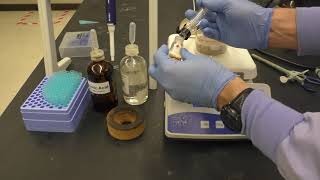 EAS Synthesis of Acetylferrocene Experiment S21 [upl. by Eibot]