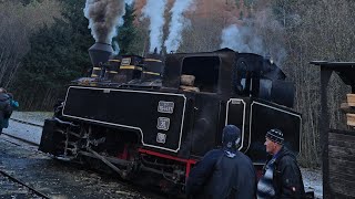 Hai Hui prin România  Mocanita de pe Valea Vaserului Viseu de Sus Maramureș [upl. by Brietta]