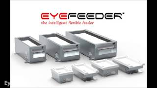 Eyefeeder demo cell with DENSO robots [upl. by Light]