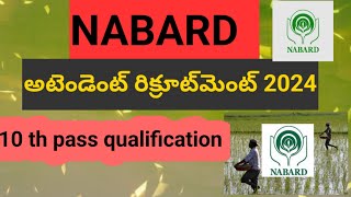 NABARD Office Attendant Recruitment 2024  10th pass qualification [upl. by Anifesoj]