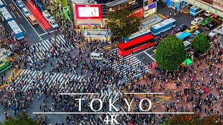 Japan Tokyo 🇯🇵 4K  Shibuya Crossing Time Lapse [upl. by Norb]