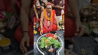 Om namah shivayharharmahadevjaishivtrendingbaidyanathreels [upl. by Petras]