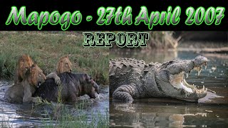 Mapogo Lions  Three Mapogos vs Hippo vs Crocodile [upl. by Oiceladni]