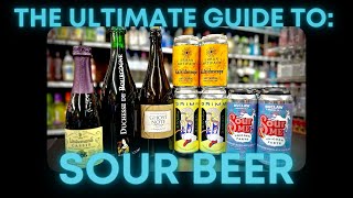 WHATS THE DEAL WITH SOUR BEER [upl. by Alaikim]