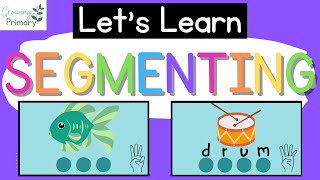 Lets Learn SEGMENTING WORDS Phonemic Awareness [upl. by Ylrebmi]