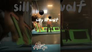 trampoline park sillies therian quadrobics alterhuman cringe trampoline [upl. by Jolda359]