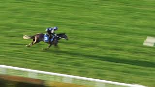 15 October Gallops Gallop 7 [upl. by Bubalo]