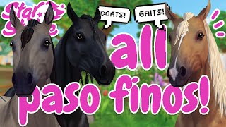 PASO FINO HORSES  GAITS COAT COLORS MANESTYLES PRICE amp MORE 🐴 Star Stable Online Spoilers [upl. by Eiduam]