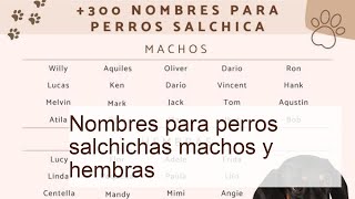 300 nombres para perros salchichas machos y hembras  ¡Ideas originales [upl. by An]