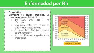 Enfermedad por Rh ERITROBLASTOSIS FETAL  Ginecología [upl. by Milty]