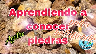 PIEDRAS NATURALES SEMI PRECIOSAS Y TRONCOS PETRIFICADOS 😱🇦🇷 [upl. by Meerak]