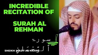 surah ar rehman اَلرَّحْمٰن  most incredible recitation by Wadie AlYamani [upl. by Anaihs]