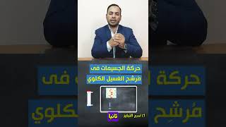 الحركة فى فلتر الغسيل الكلوي megadialysis الغسيلالكلوي medicalstudent dialysis science [upl. by Edyaw620]