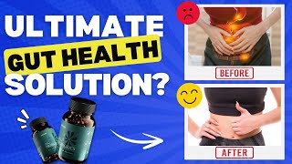 Bioma Probiotics Review Ultimate Gut Health Solution DONT MISS [upl. by Yetsirhc637]